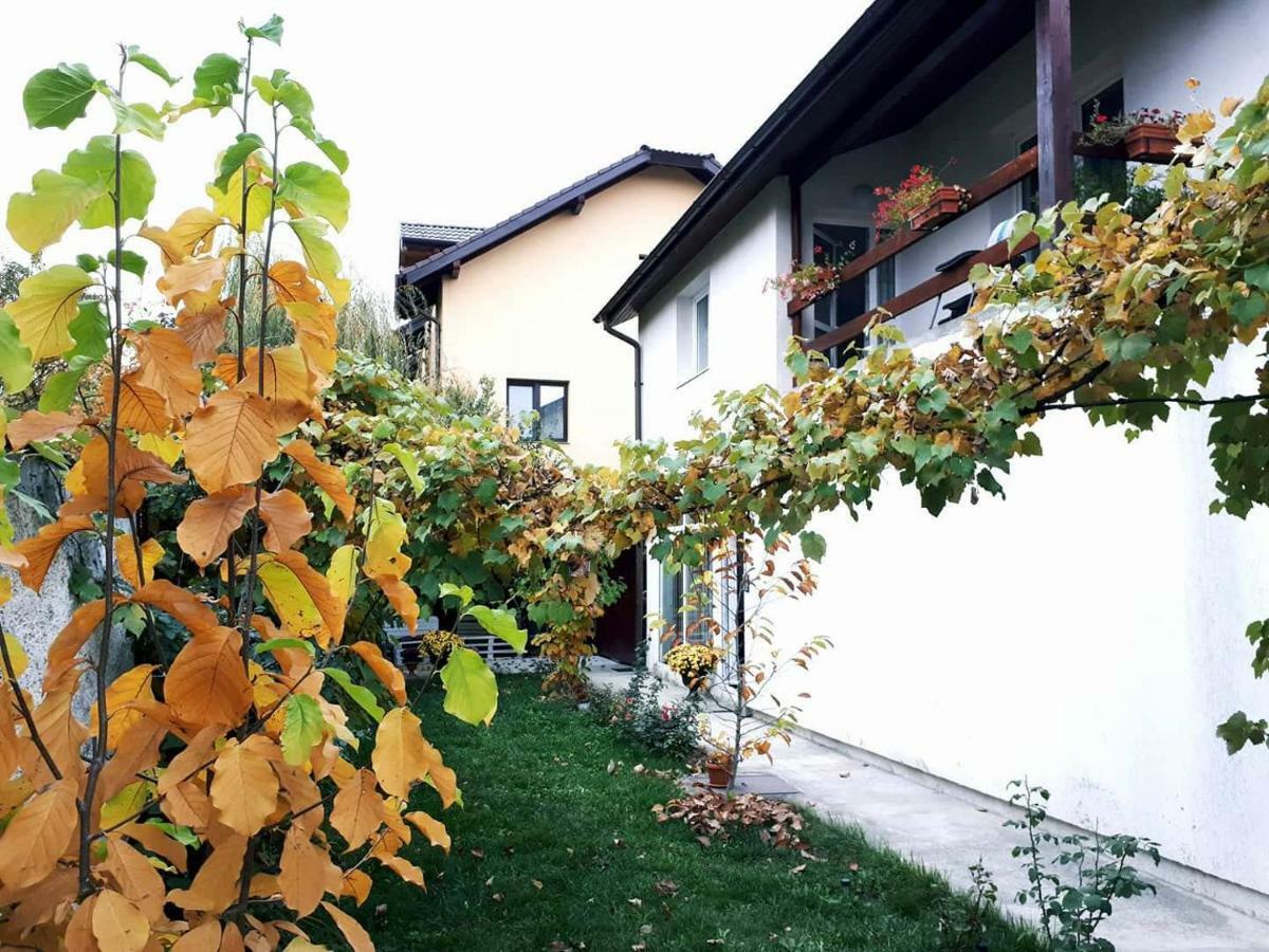Casa Mais Брашов Экстерьер фото