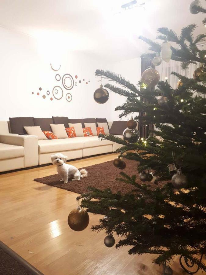 Casa Mais Брашов Экстерьер фото