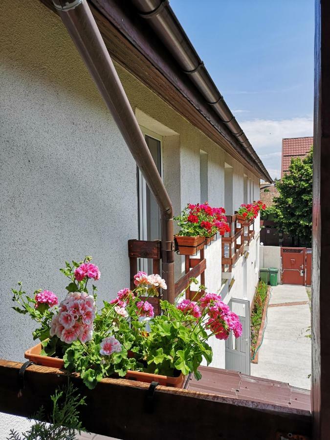 Casa Mais Брашов Экстерьер фото